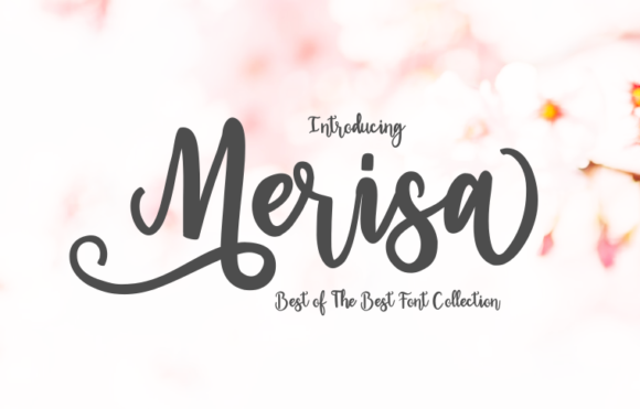Merisa: The Elegant Script Font for Modern Marketers